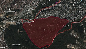 Beykoz’un ciğerleri imara açıldı